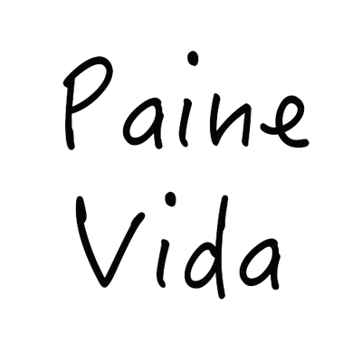 Sexy See-through Lace Strap Dress – PAINEVIDA