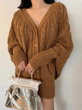 V-Neck Single-Breasted Hemp Pattern Cardigan Sweater - PAINEVIDA