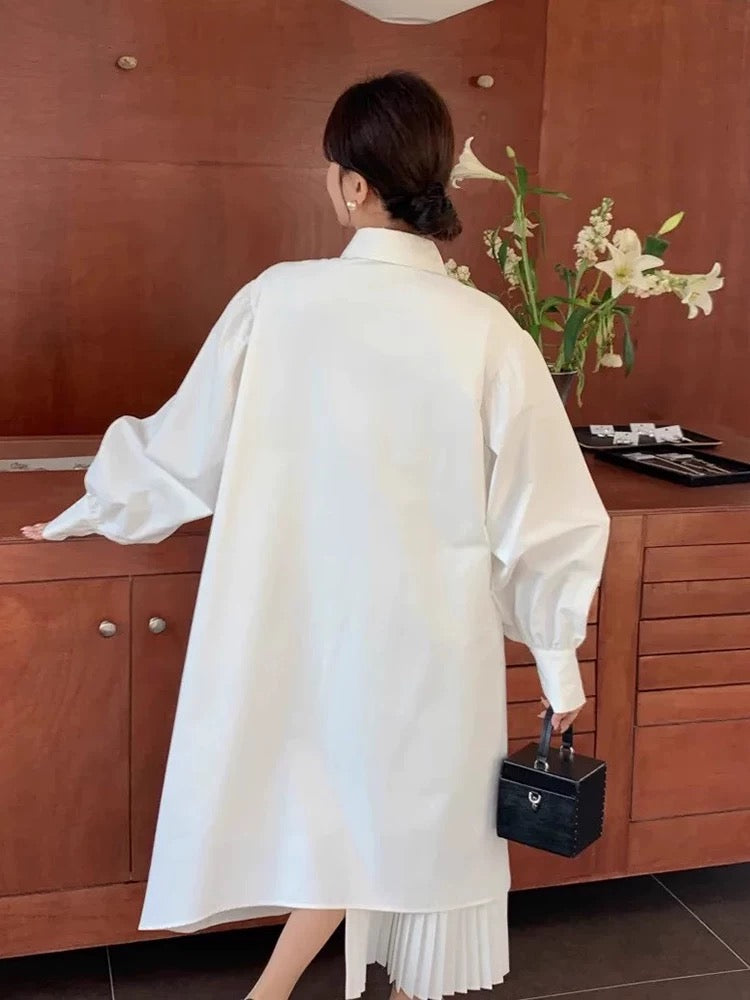 Paneled Pleated Shirt Dress